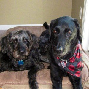 Meet your Posher, Lee